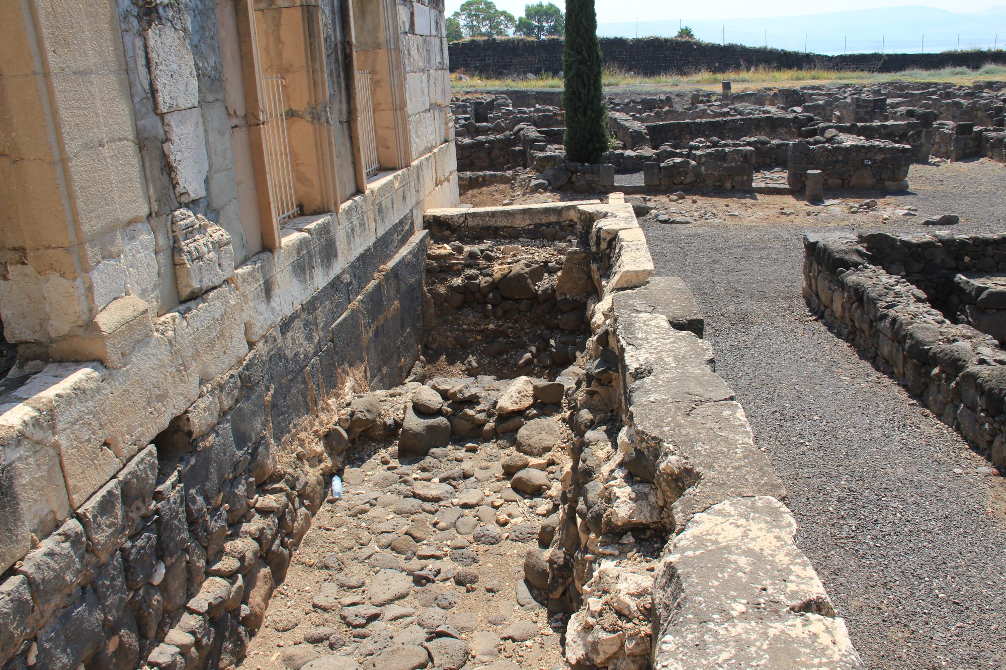 Capharnaum 31